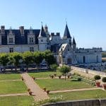 Chenin Blanc. Gruss von der Loire.