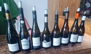 Weine der LOIRE mit Muscadet